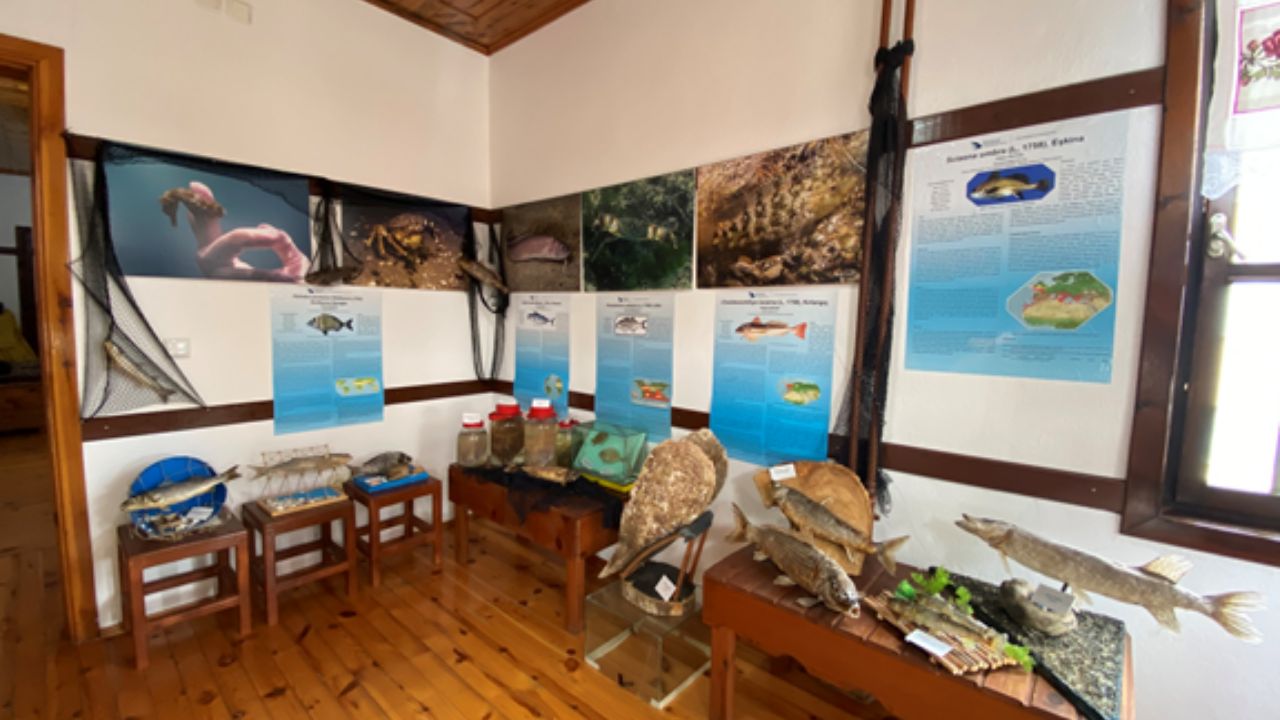 ”Akçakoca Sualtı Dünyası” Meraklılarını Özkök Kültür Evi’nde Bekliyor