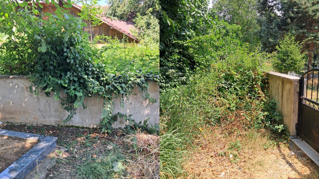 Koçyazı Mezarlığı’nda İhmal İddiası; Çalılar Yolu Kapatıyor, Yetkililer Sessiz!