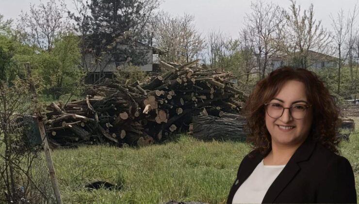 İYİ Parti Düzce’den Sit Alanı Tepkisi: “Süreci Takip Edeceğiz”